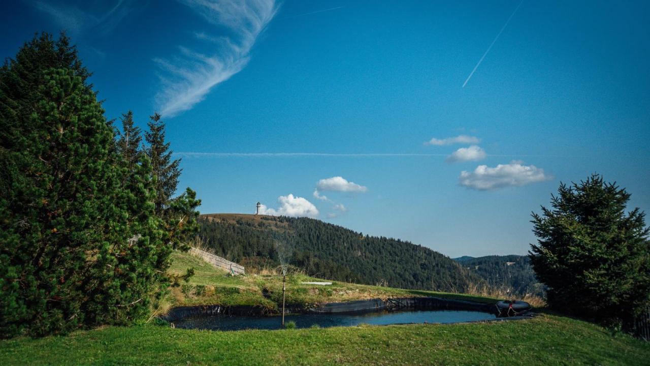 פלדברג Berggasthof Zur Todtnauer Huette מראה חיצוני תמונה