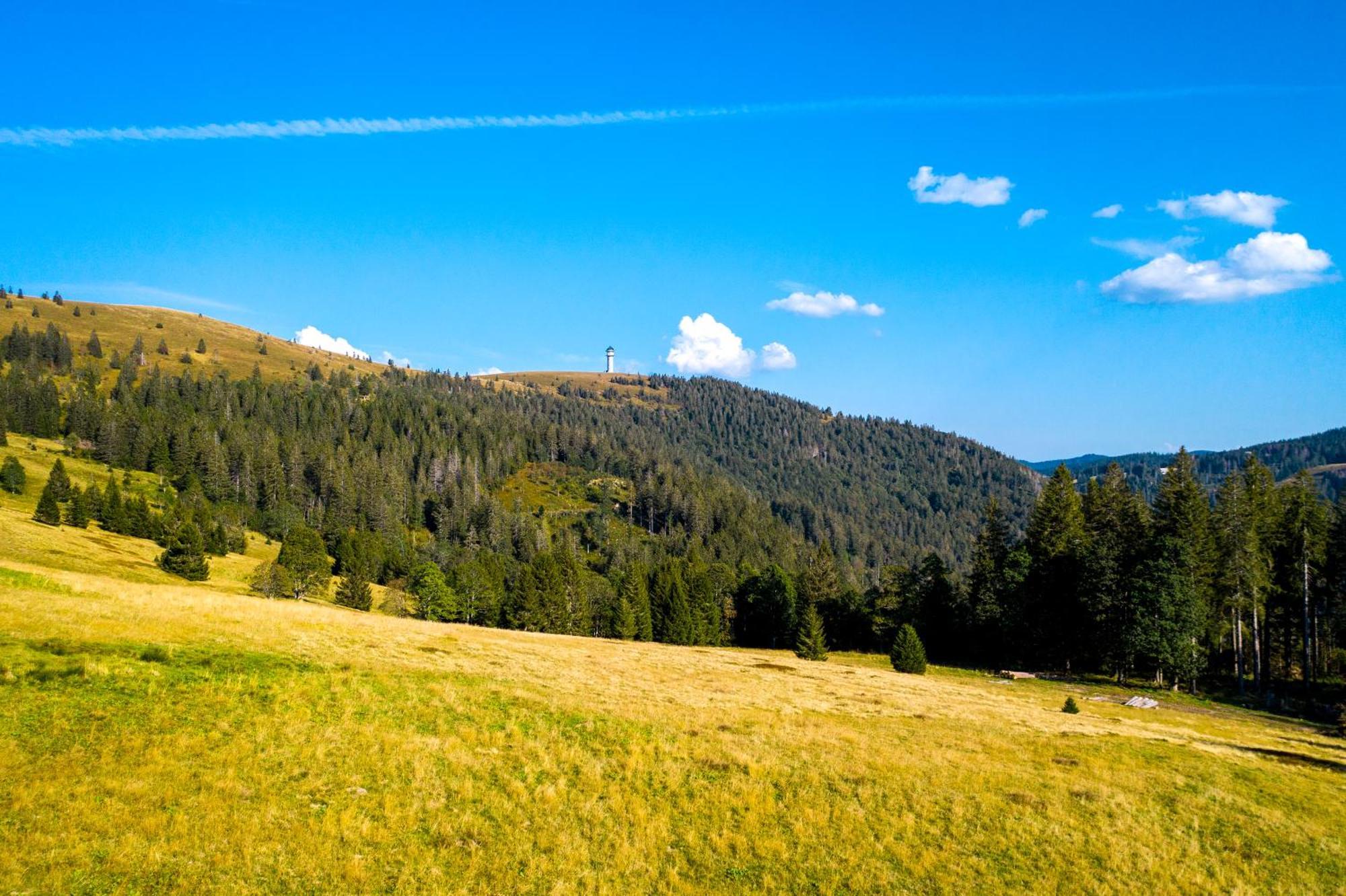 פלדברג Berggasthof Zur Todtnauer Huette מראה חיצוני תמונה